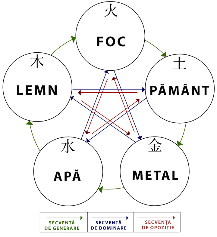 ciclu 5 elemente